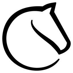 custom_website